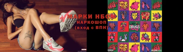 прущие грибы Братск