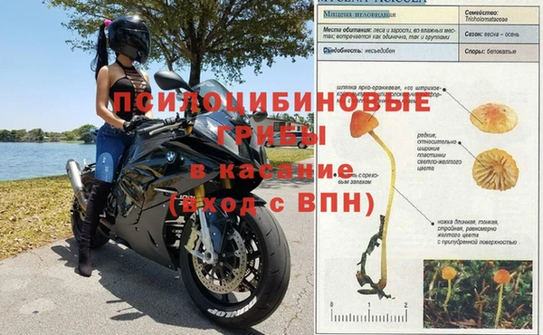 альфа пвп Великий Новгород