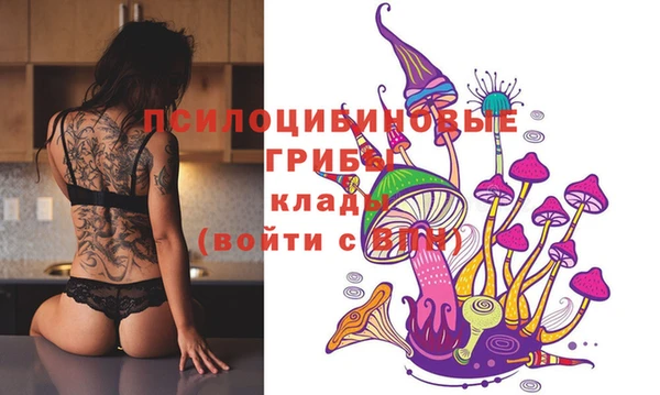 мдпв Горнозаводск