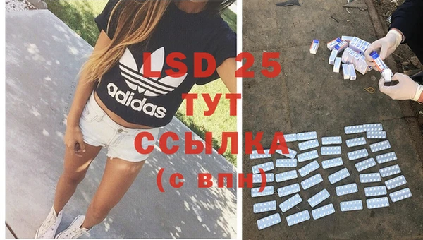 прущие грибы Братск