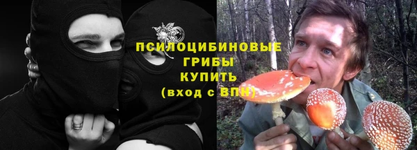 прущие грибы Братск