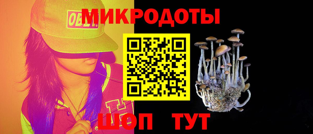 ГАШ Зерноград