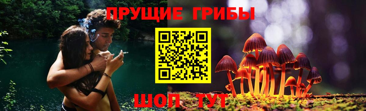 Зерноград  Галлюциногенные грибы Cubensis  Вход с VPN 